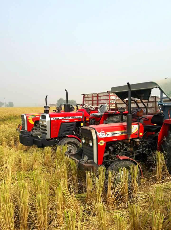 Agriculture Image